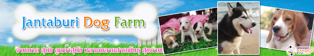 user.company_name